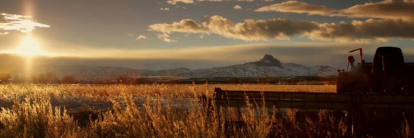 grassfedorganic's profile banner image