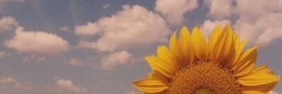 TE_Takuya's profile banner image