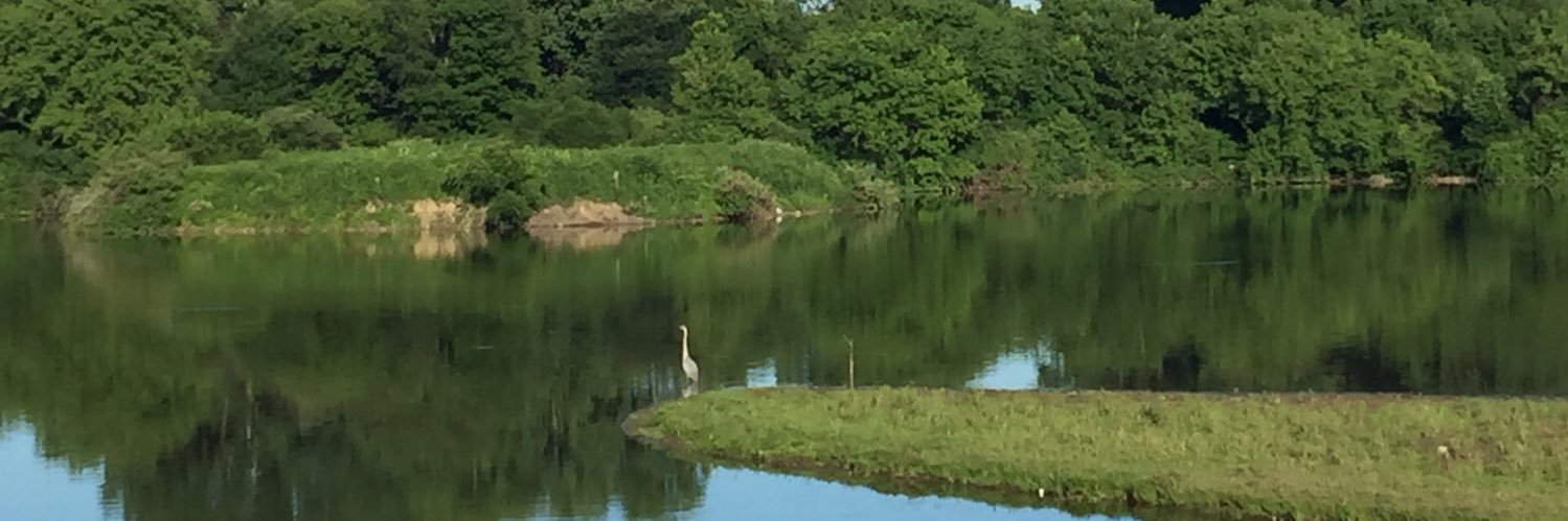 DeenaBarberRN's profile banner image