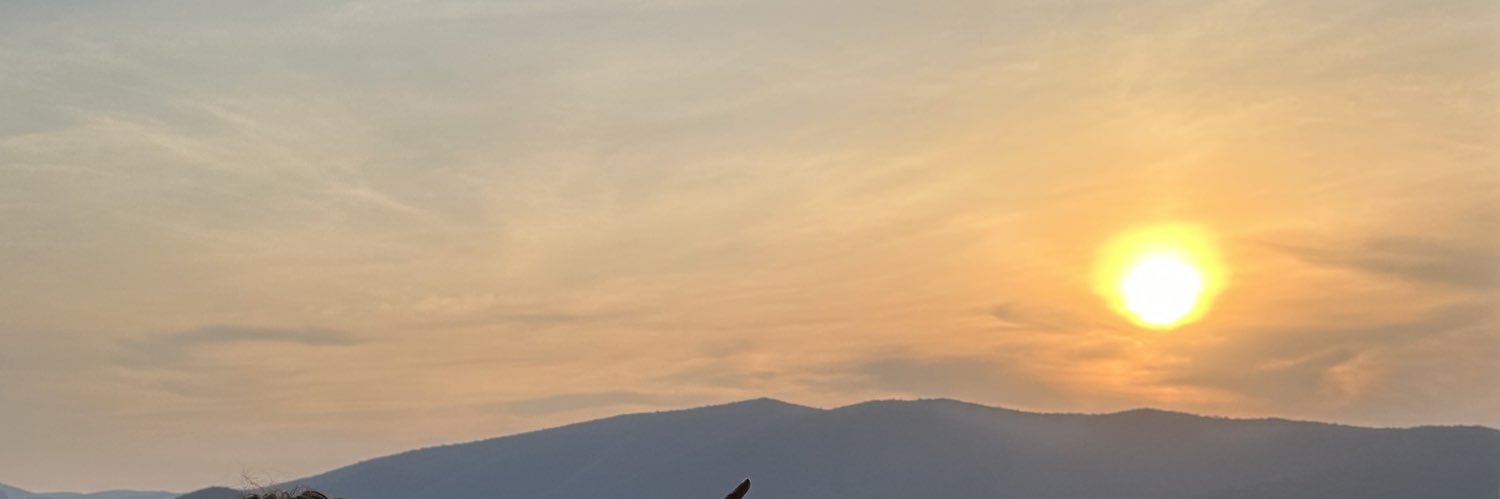 Nancy de la Sierra Arámburo banner