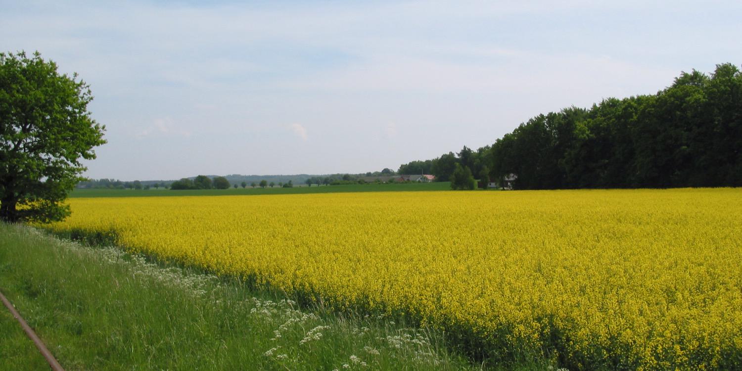 nilenheim's profile banner image