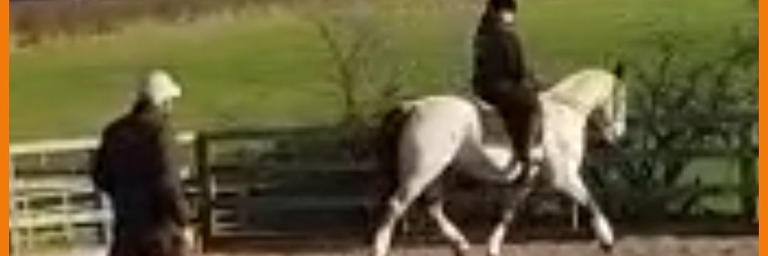 vickyhowarthgb's profile banner image
