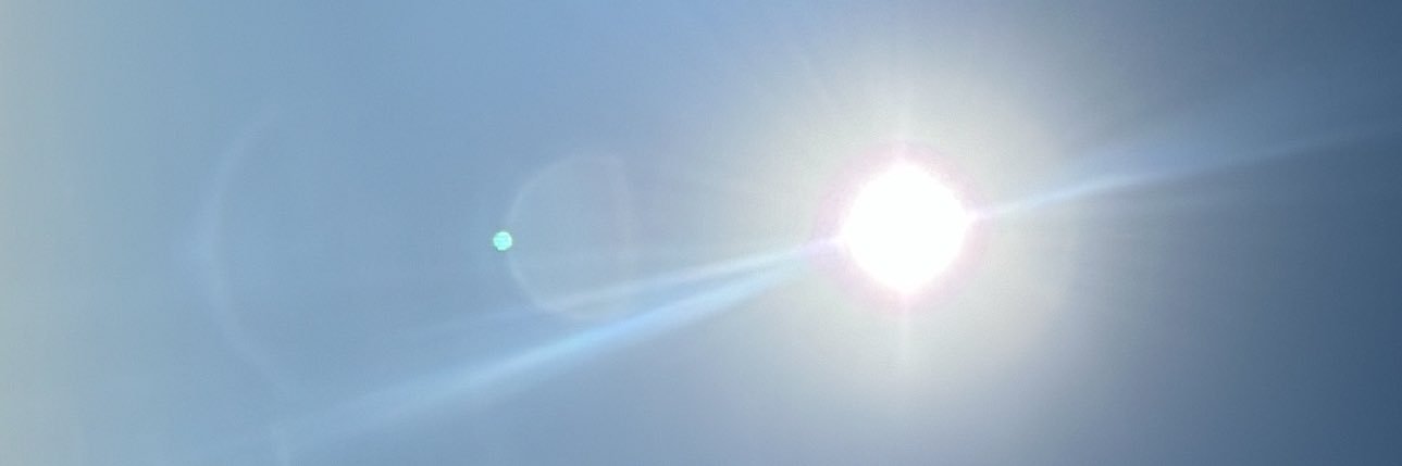 icebearmonet's profile banner image