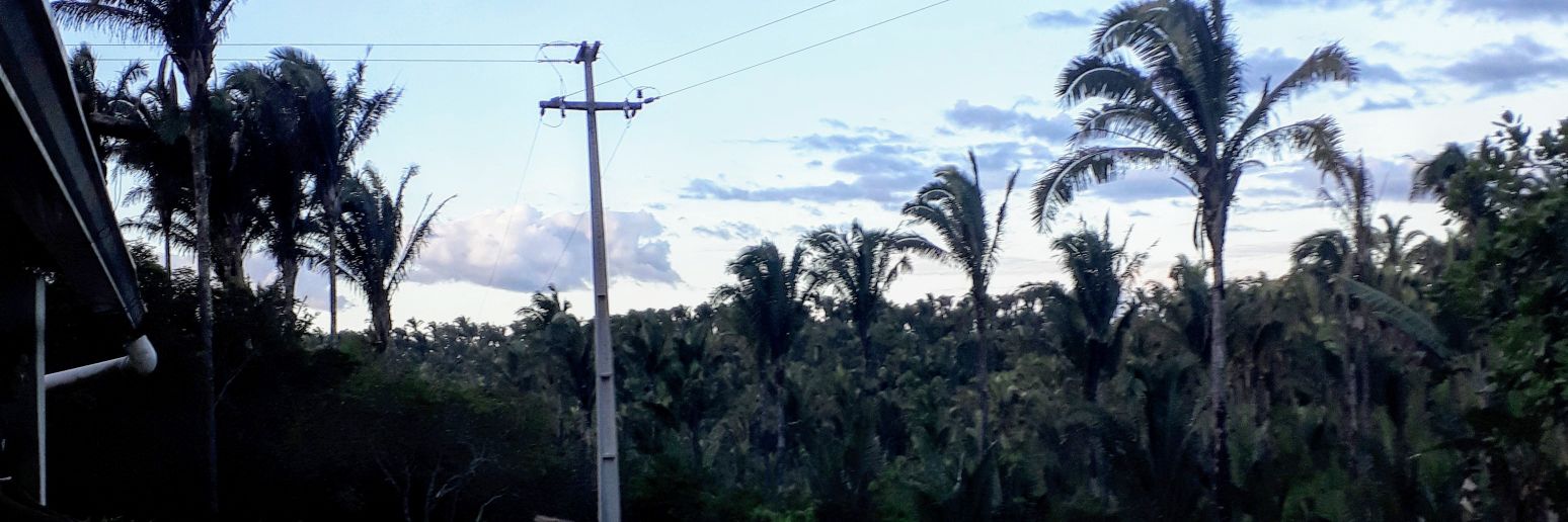 Zeldda🇧🇷🇮🇱 banner