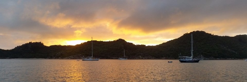 brownhk's profile banner image