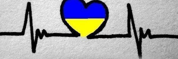 NonRussianBear's profile banner image