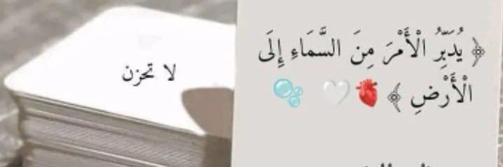 Saleh banner