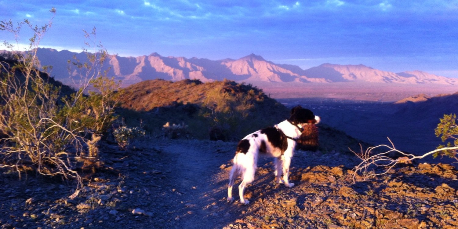 wbrickey's profile banner image