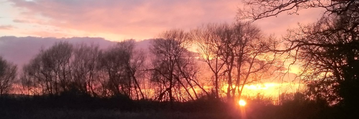 cliggy83's profile banner image