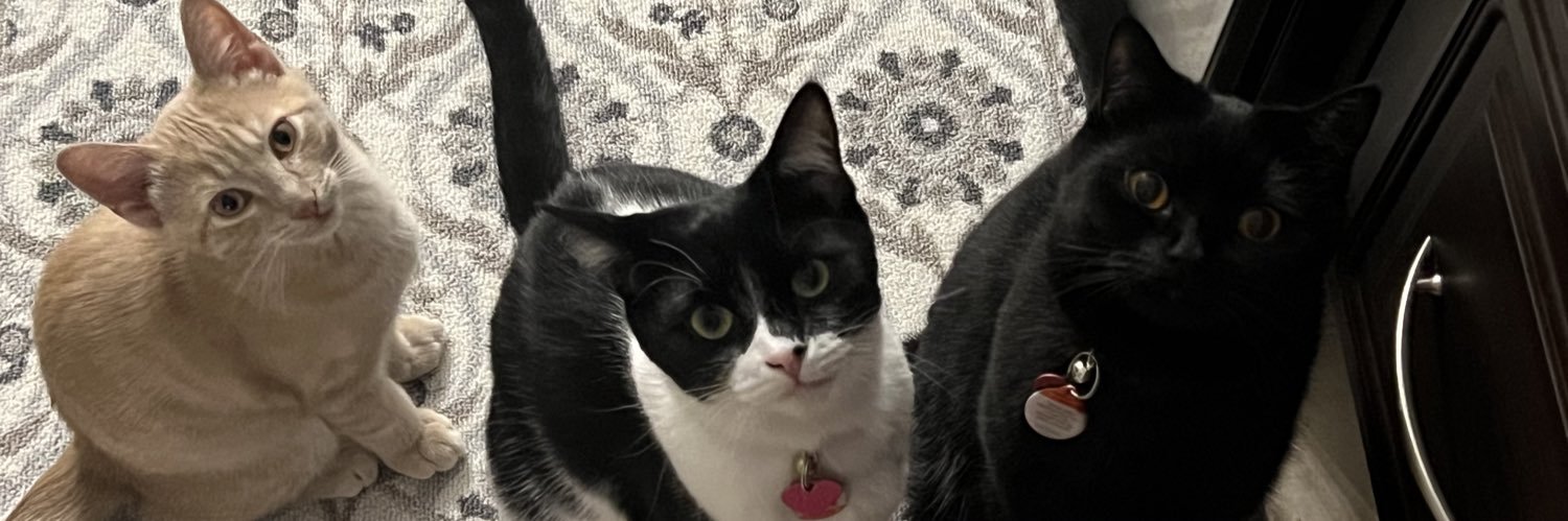 StaceyMariex's profile banner image