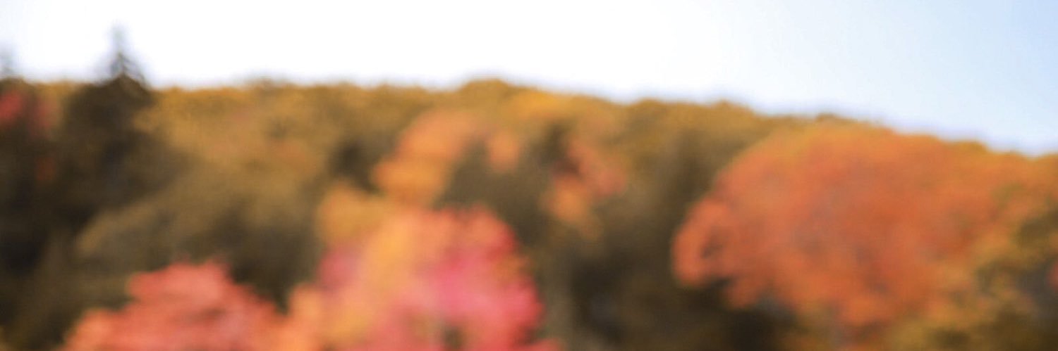 MeredithDarling's profile banner image