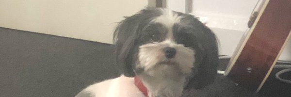 kimwire13 Profile Banner