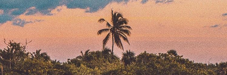 AlonsoRogue's profile banner image