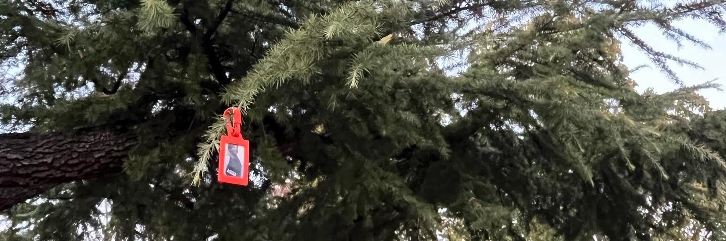 chisatomlinson's profile banner image