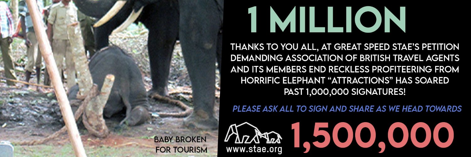Save The Asian Elephants's banner