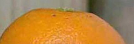 ale7480's profile banner image
