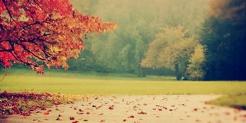 SofieKings4's profile banner image