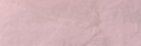 芝 banner