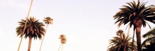 kaileyRPGPSV's profile banner image