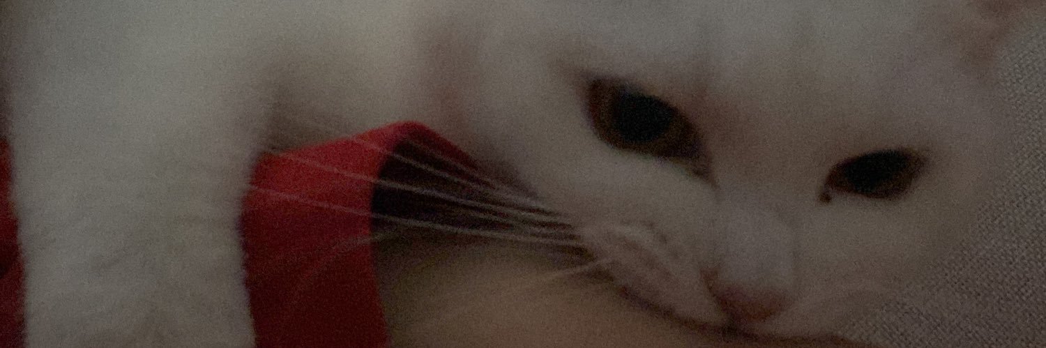 mlspak's profile banner image