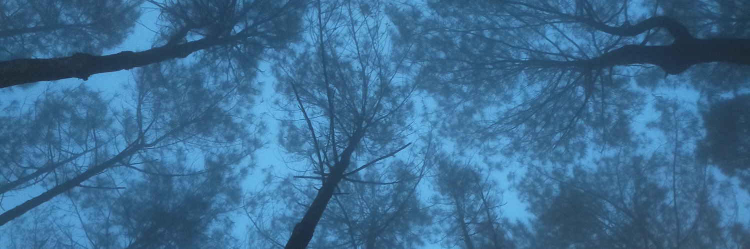 achamahadi's profile banner image