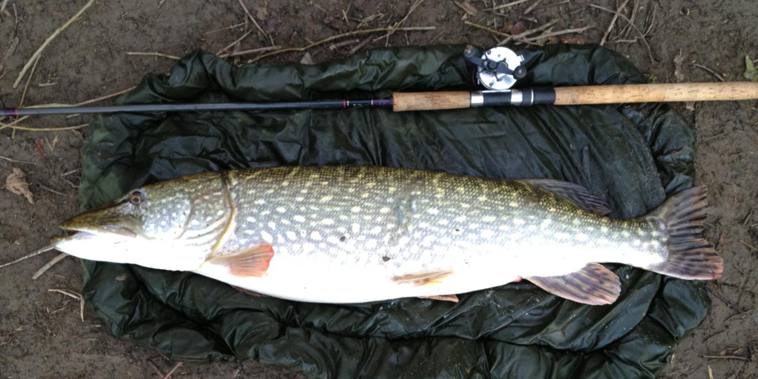 haywarrenangler's profile banner image