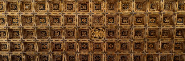 brandonous Profile Banner