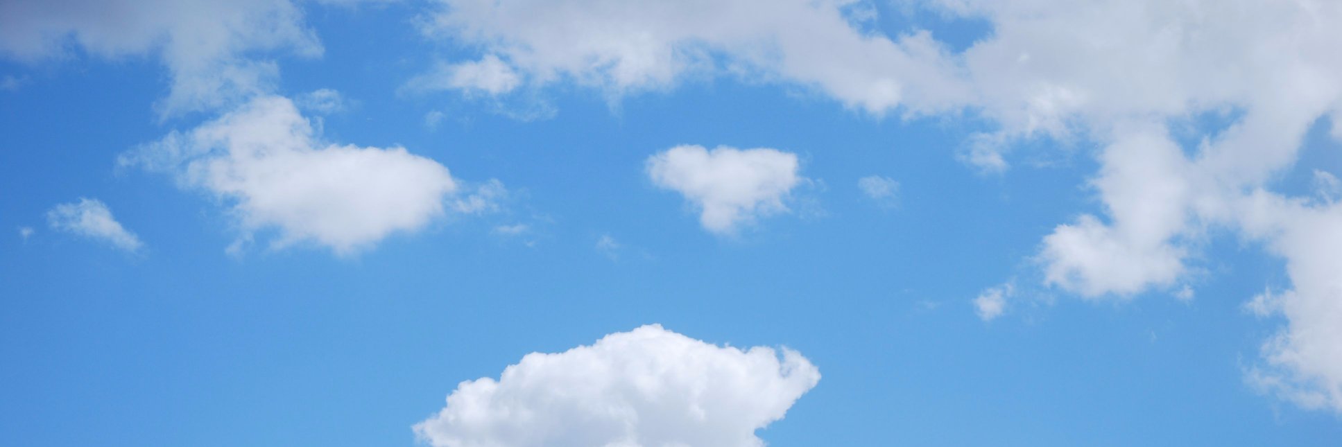 Jose Barreto banner