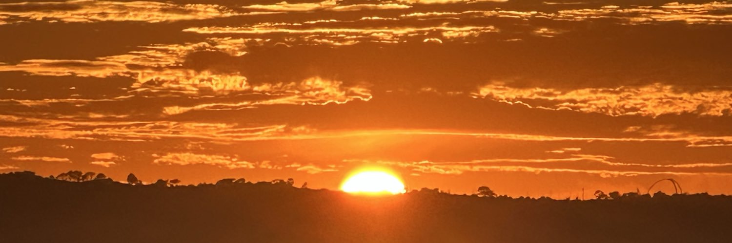 Wendy Scripps banner