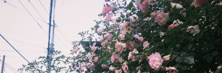 __tt_t's profile banner image