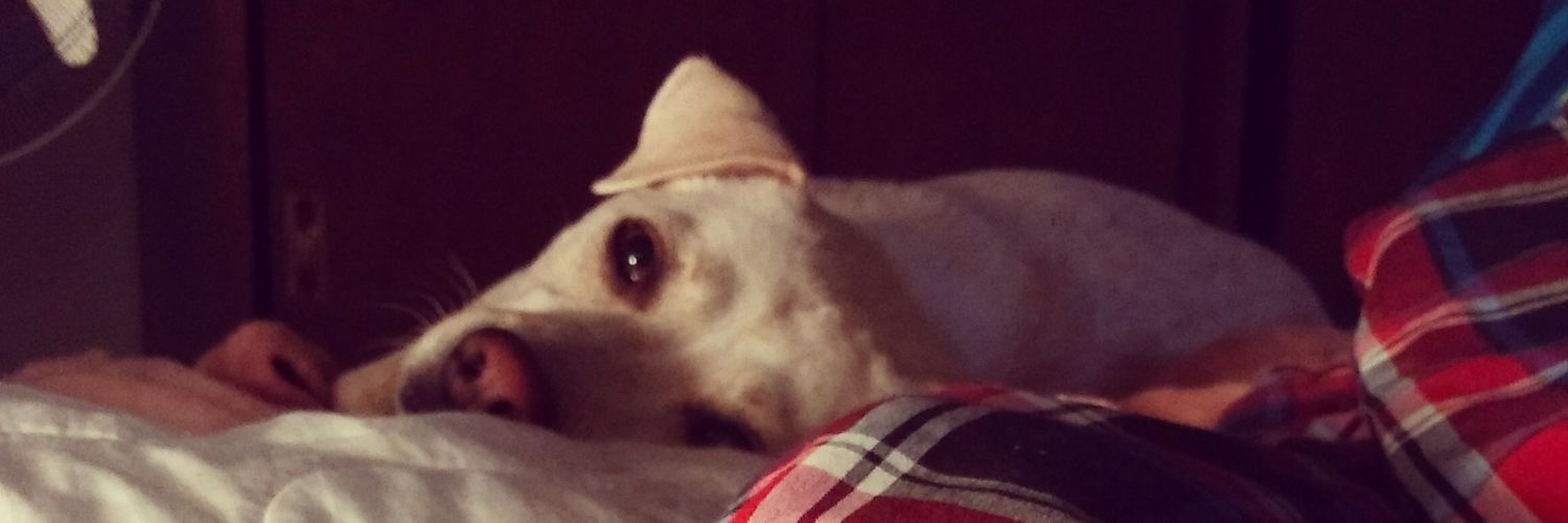 jdardano's profile banner image