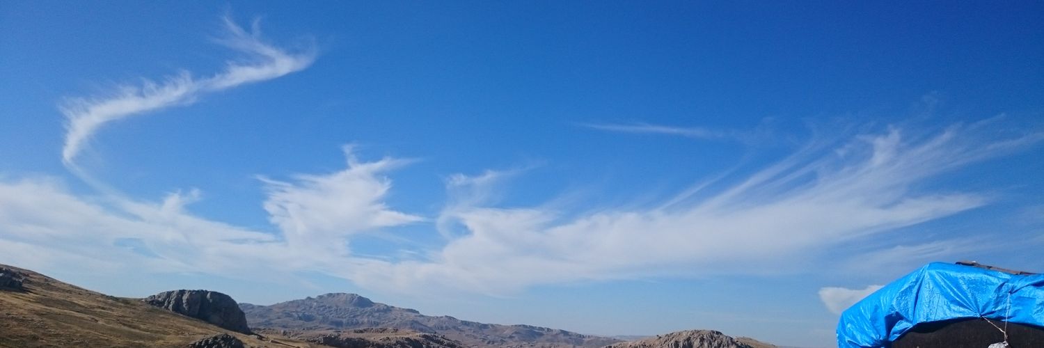 avfsg6's profile banner image