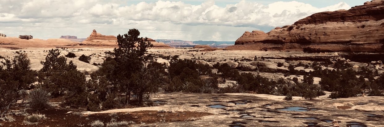 Log_Taylor8's profile banner image