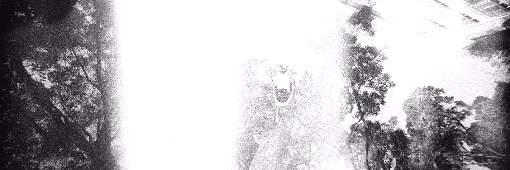 whereiszz's profile banner image