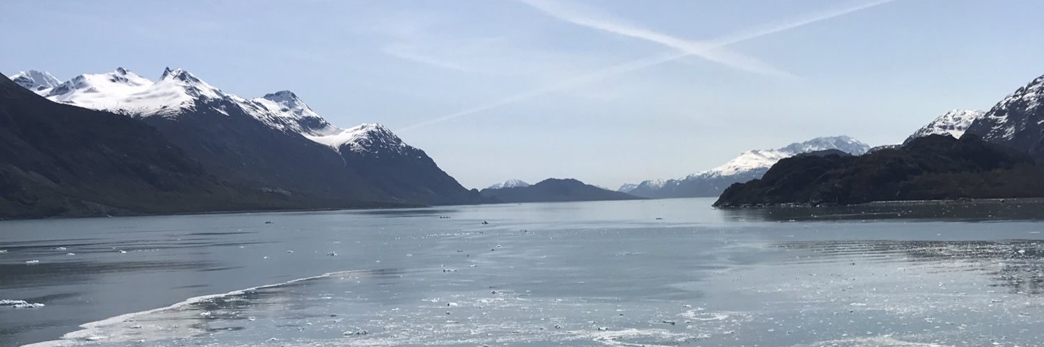 SaintHeather's profile banner image