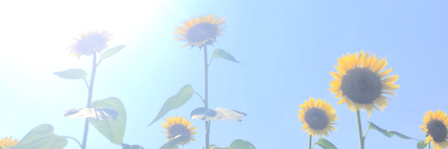 naaa23tm's profile banner image
