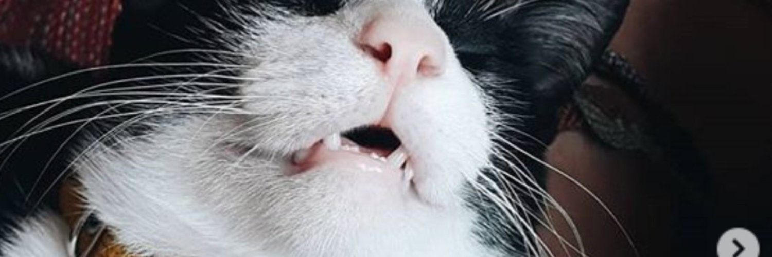 Barbiecvjinha's profile banner image