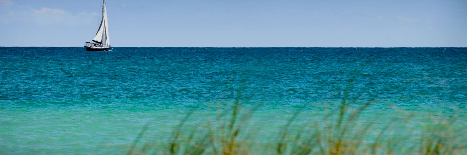 MWilderGLG's profile banner image