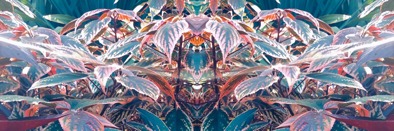 Keone Stevans banner