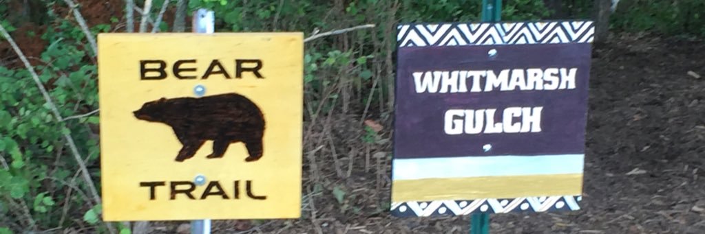 Turner Track & Field banner