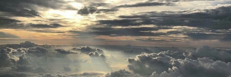 eltamary's profile banner image