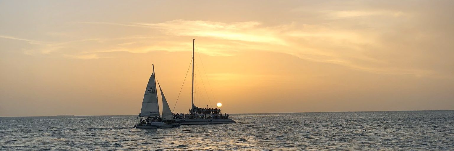 Padingo 🎃 (commissions open) banner