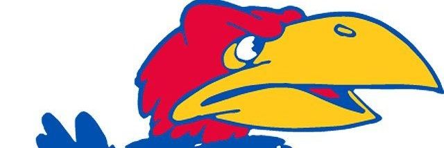 beakem_hawks's profile banner image