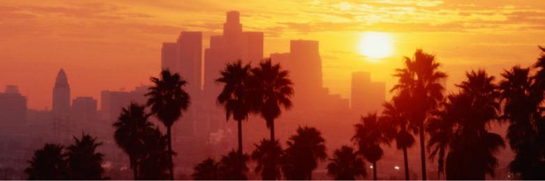 samvincentx's profile banner image