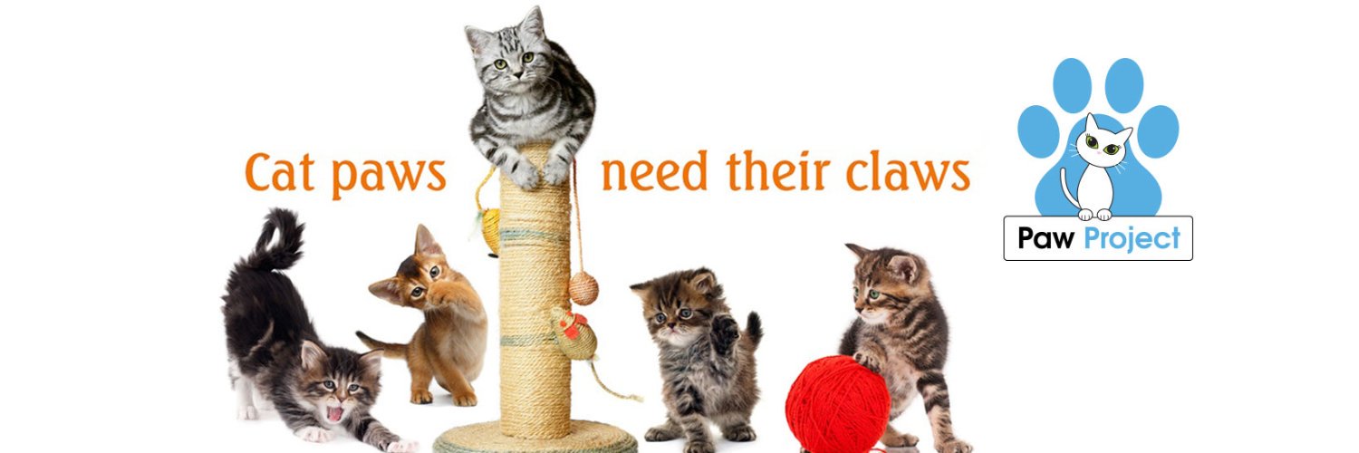 The Paw Project banner