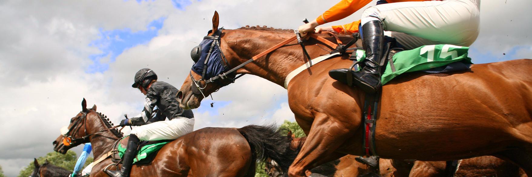 GrandNational15's profile banner image