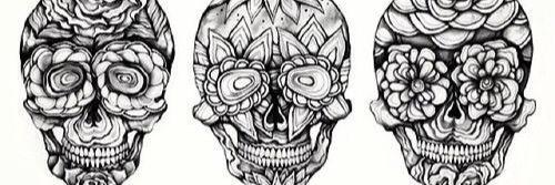 shellbbs's profile banner image