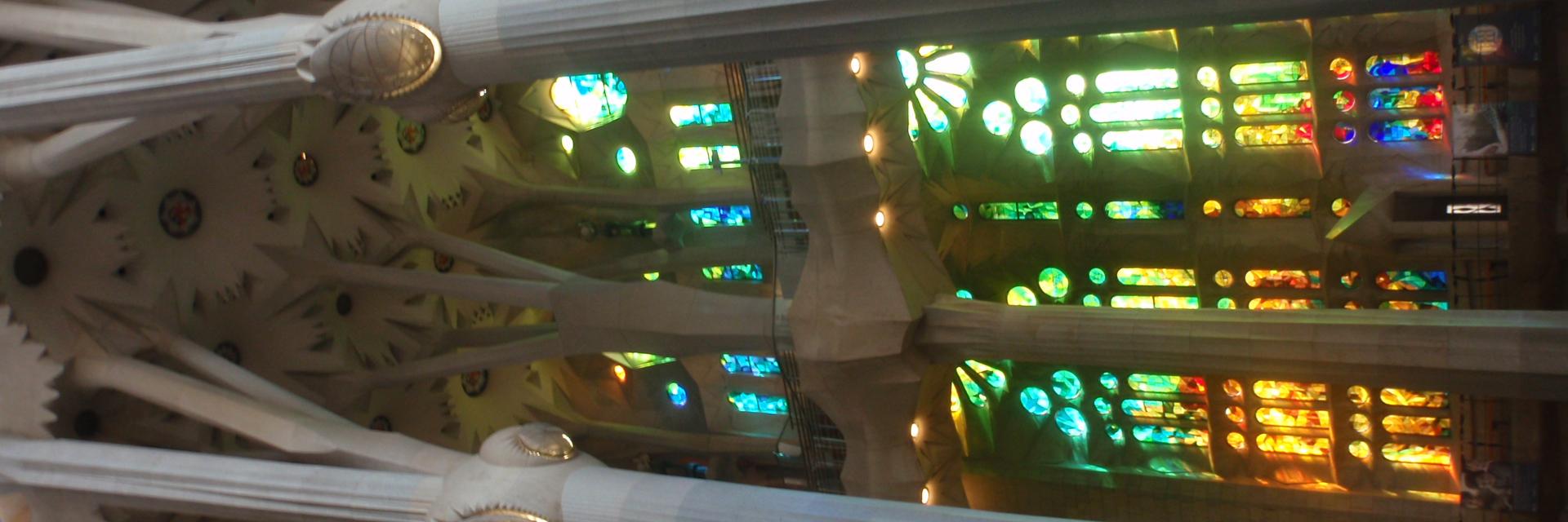 Mercè Pallàs😶 banner