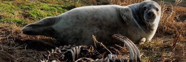 mmquaggiotto Profile Banner