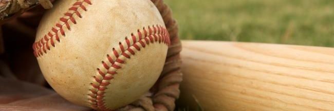 Terrell Baseball banner